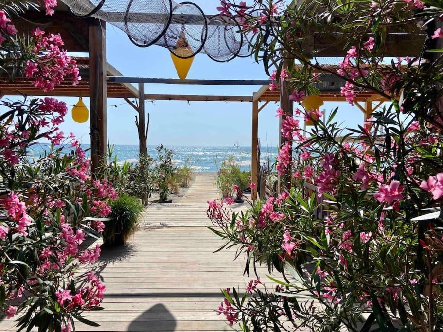 Les Voiles Blanches T2 Luxe A 100M De La Plage Leucate Eksteriør bilde