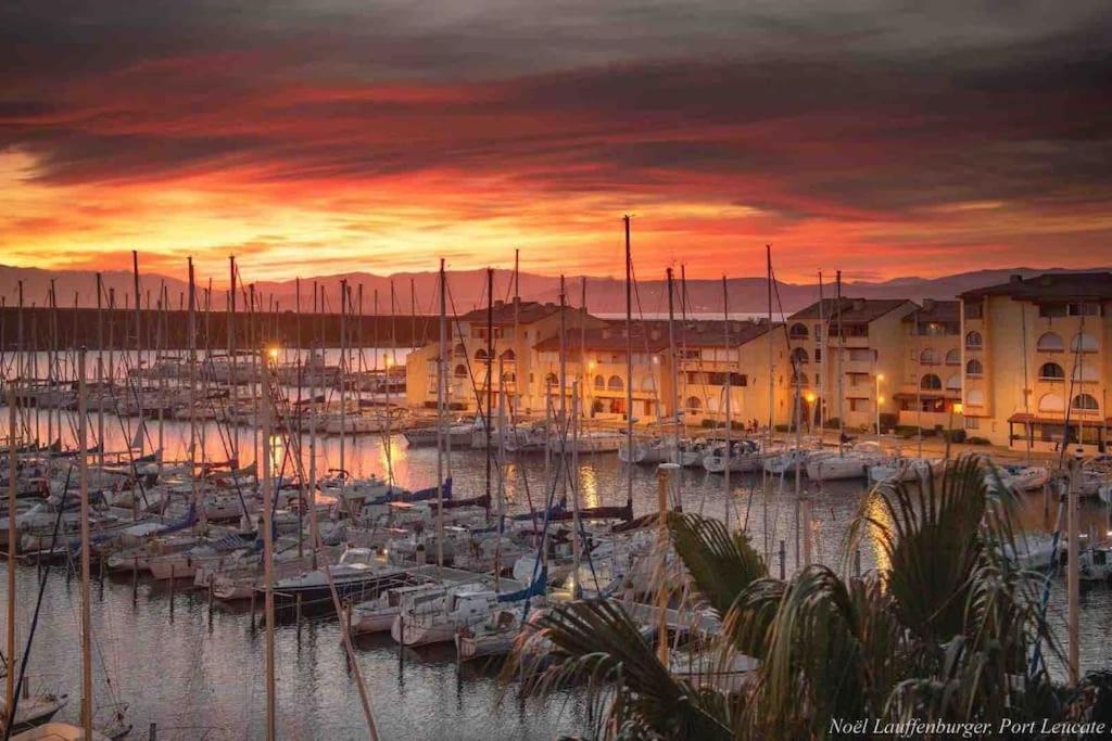 Les Voiles Blanches T2 Luxe A 100M De La Plage Leucate Eksteriør bilde